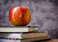 Schreiben über die ökologische Krise: Der politische Autor Carl Amery